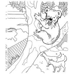 Coloring page: Koala (Animals) #9470 - Free Printable Coloring Pages