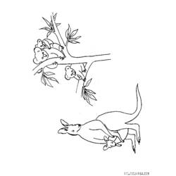 Coloring page: Koala (Animals) #9473 - Free Printable Coloring Pages
