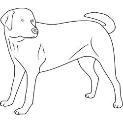 Labrador (Animals) coloring page #220736 to print and color