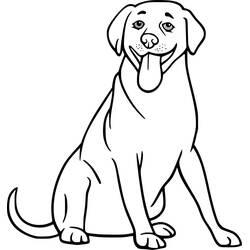 Labrador (Animals) coloring page #220743 to print and color