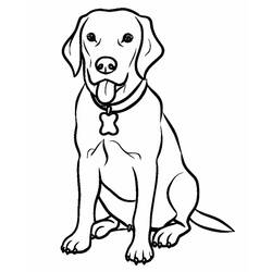 Labrador (Animals) coloring page #220751 to print and color