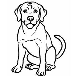 Labrador (Animals) coloring page #220752 to print and color