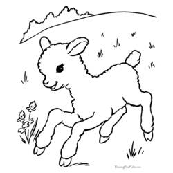 Coloring page: Lamb (Animals) #190 - Printable coloring pages