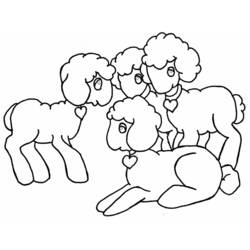 Coloring page: Lamb (Animals) #205 - Free Printable Coloring Pages