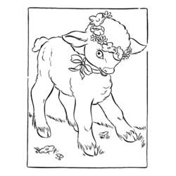 Coloring page: Lamb (Animals) #206 - Printable coloring pages