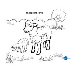 Coloring page: Lamb (Animals) #225 - Printable coloring pages