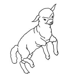 Coloring page: Lamb (Animals) #246 - Free Printable Coloring Pages
