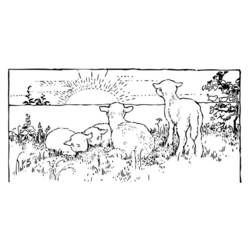 Coloring page: Lamb (Animals) #269 - Free Printable Coloring Pages