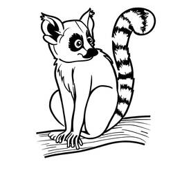 Lemur (Animals) coloring page #219676 to print and color