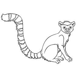 Lemur (Animals) coloring page #219689 to print and color