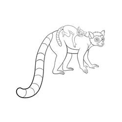 Lemur (Animals) coloring page #219692 to print and color