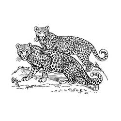 Leopard (Animals) coloring page #189147 to print and color