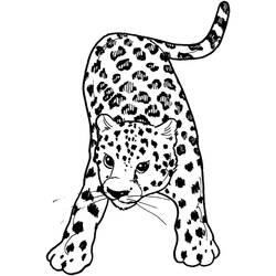 Leopard (Animals) coloring page #189151 to print and color