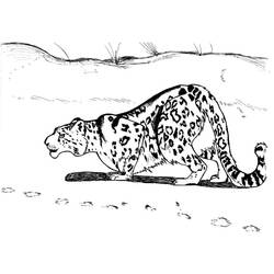 Leopard (Animals) coloring page #189155 to print and color