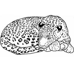 Leopard (Animals) coloring page #189158 to print and color