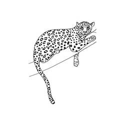 Leopard (Animals) coloring page #189163 to print and color
