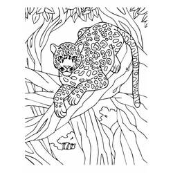 Leopard (Animals) coloring page #189165 to print and color