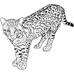 Leopard (Animals) coloring page #189167 to print and color