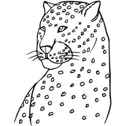 Leopard (Animals) coloring page #189169 to print and color