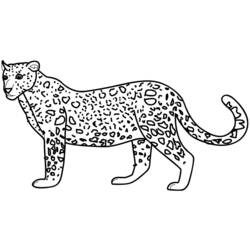 Coloring page: Leopard (Animals) #9705 - Free Printable Coloring Pages