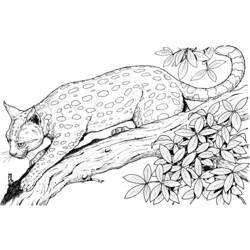 Coloring page: Leopard (Animals) #9717 - Printable coloring pages
