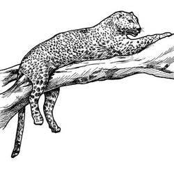 Coloring page: Leopard (Animals) #9740 - Printable coloring pages