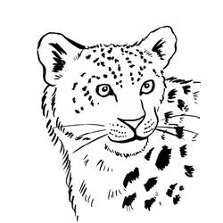 Coloring page: Leopard (Animals) #9742 - Free Printable Coloring Pages