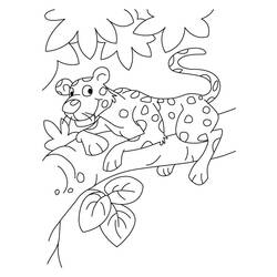 Coloring page: Leopard (Animals) #9744 - Free Printable Coloring Pages