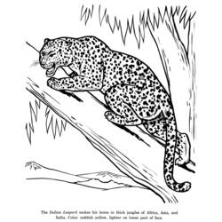 Coloring page: Leopard (Animals) #9748 - Printable coloring pages