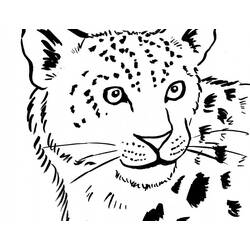 Coloring page: Leopard (Animals) #9759 - Free Printable Coloring Pages