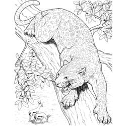 Coloring page: Leopard (Animals) #9775 - Free Printable Coloring Pages