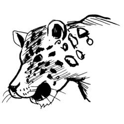 Coloring page: Leopard (Animals) #9807 - Free Printable Coloring Pages