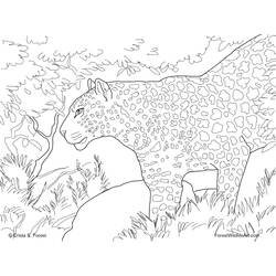 Coloring page: Leopard (Animals) #9821 - Free Printable Coloring Pages