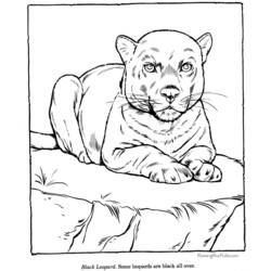 Coloring page: Leopard (Animals) #9822 - Free Printable Coloring Pages