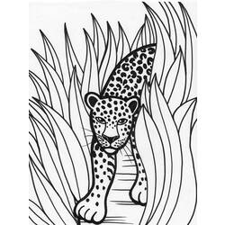 Coloring page: Leopard (Animals) #9825 - Printable coloring pages