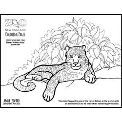 Coloring page: Leopard (Animals) #9834 - Free Printable Coloring Pages