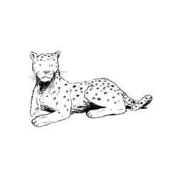 Coloring page: Leopard (Animals) #9835 - Free Printable Coloring Pages