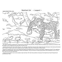 Coloring page: Leopard (Animals) #9858 - Free Printable Coloring Pages