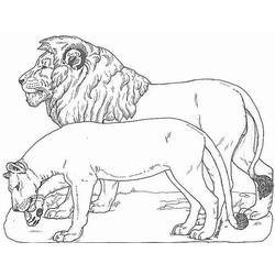 Coloring page: Lion (Animals) #10241 - Free Printable Coloring Pages