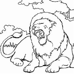 Coloring page: Lion (Animals) #10251 - Free Printable Coloring Pages