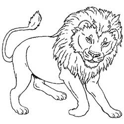 Coloring page: Lion (Animals) #10270 - Free Printable Coloring Pages