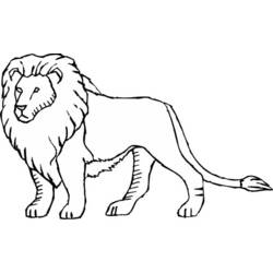 Coloring page: Lion (Animals) #10292 - Printable coloring pages