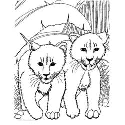 Coloring page: Lion (Animals) #10296 - Free Printable Coloring Pages