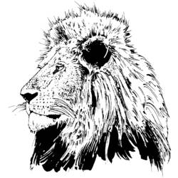 Coloring page: Lion (Animals) #10316 - Free Printable Coloring Pages