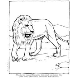 Coloring page: Lion (Animals) #10399 - Free Printable Coloring Pages