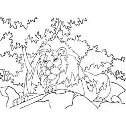 Coloring page: Lion (Animals) #10418 - Free Printable Coloring Pages