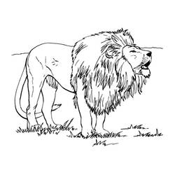 Lion (Animals) coloring page #174856 to print and color