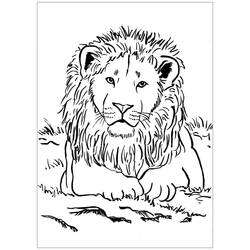 Lion (Animals) coloring page #174882 to print and color