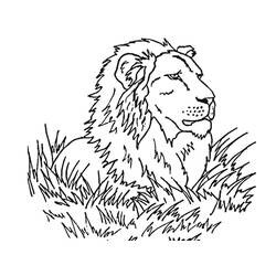 Lion (Animals) coloring page #174887 to print and color