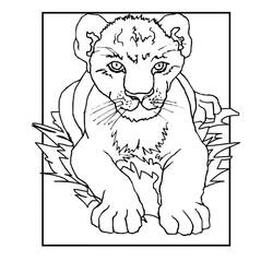 Lion (Animals) coloring page #174890 to print and color